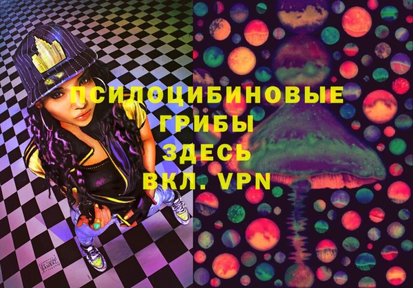 индика Абаза