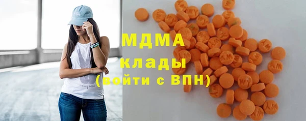 индика Абаза