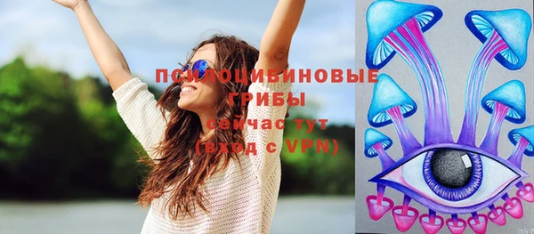 индика Абаза