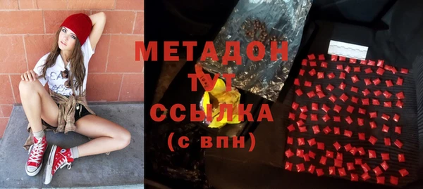 индика Абаза